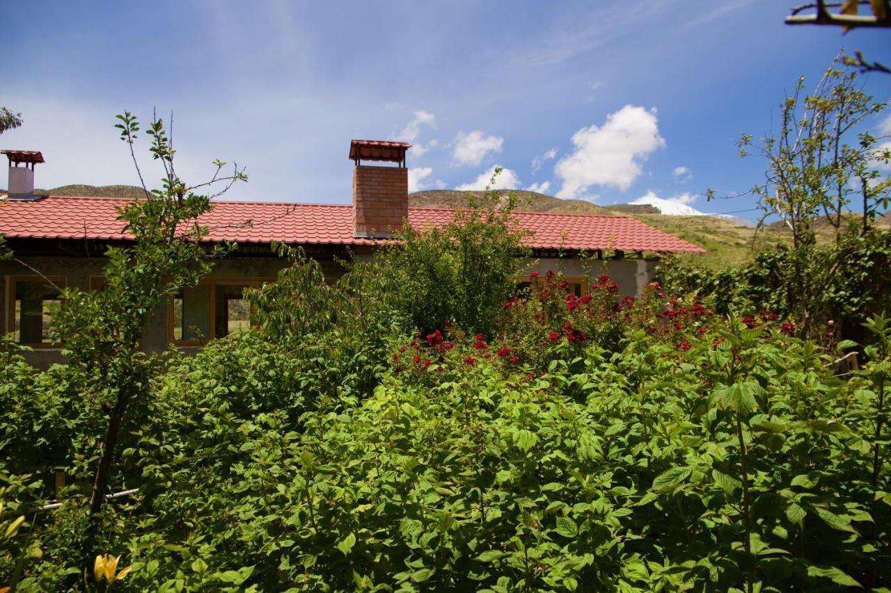 Hostal Vientos Del Altiplano Putre Exterior foto